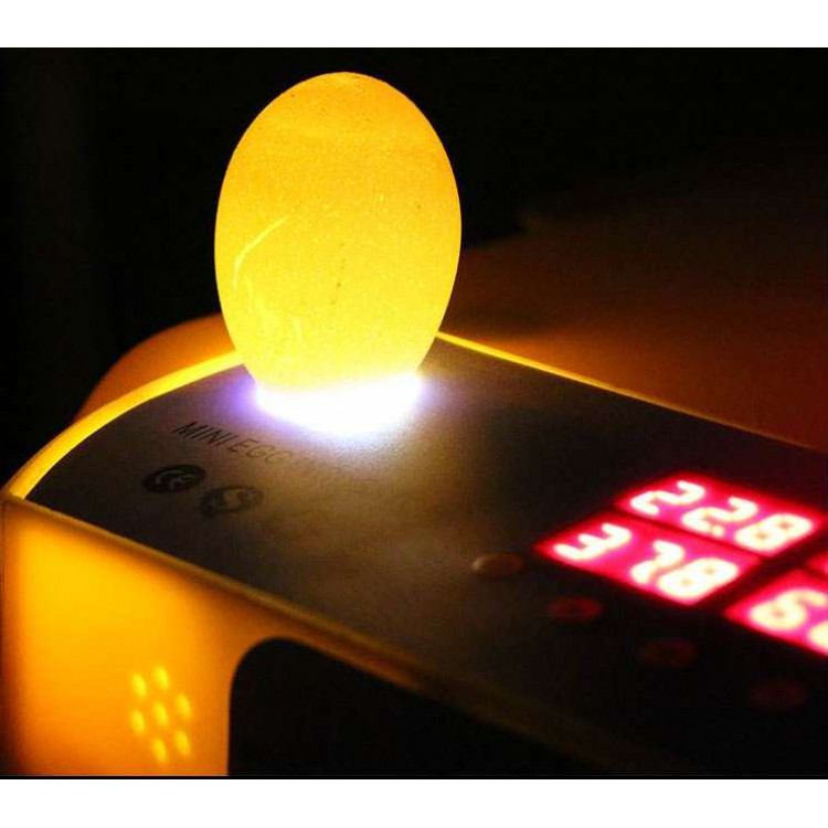 bcdc0dca366c51566f293b75df4b7a57