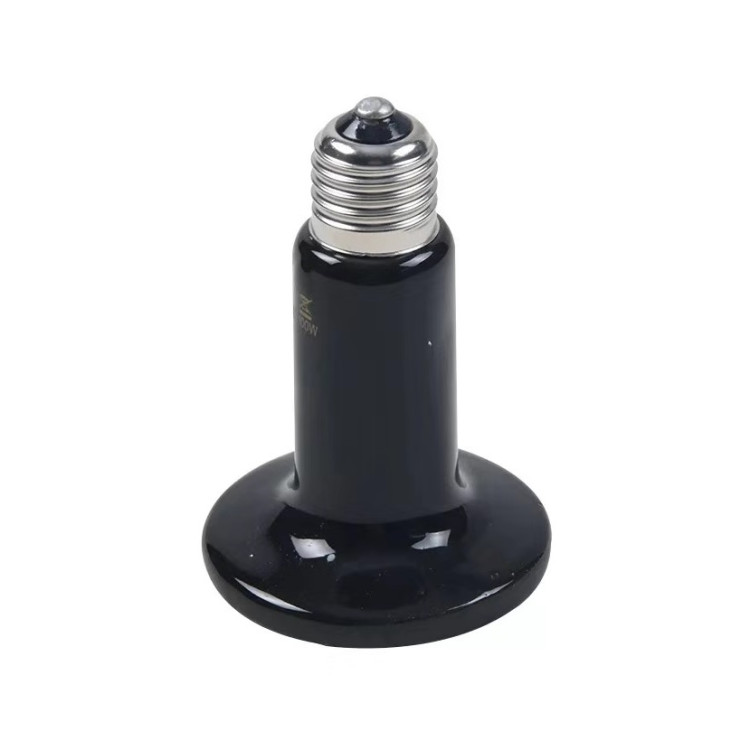 beb5fcdd05f903fc5233edab75ae4f79