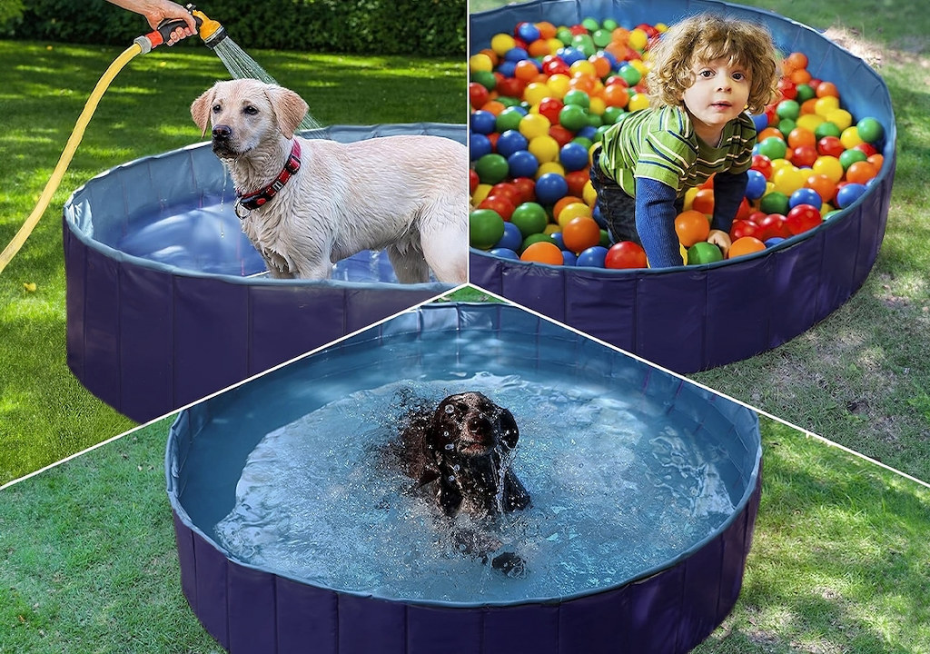 bf1dde62d7ac88a4a7b994a79d1f5f6b