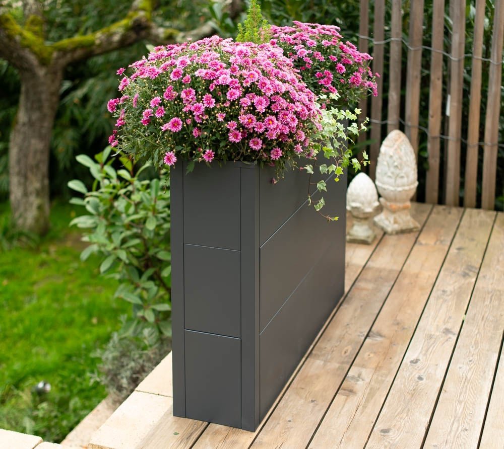 c11384a6577bf68a096676a73d736e9e