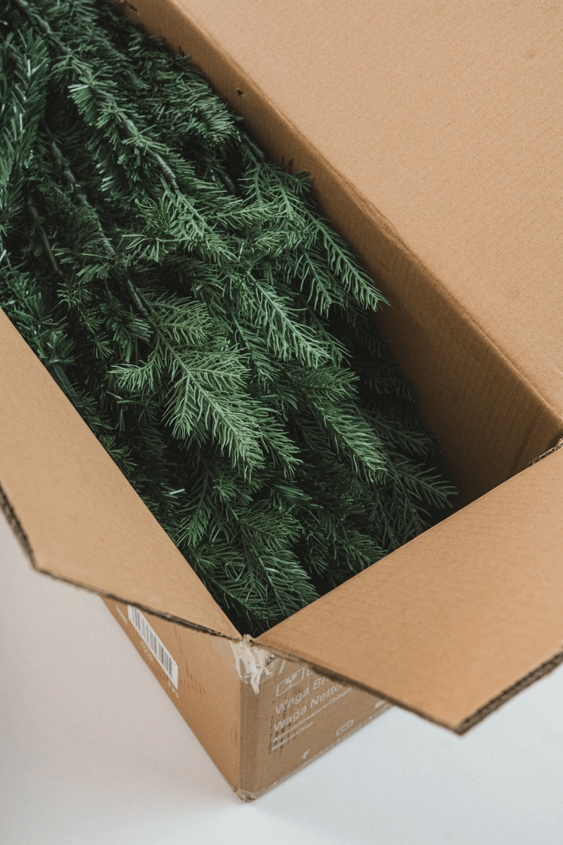 c162e419f62c05bb5c027f057f14f6ad