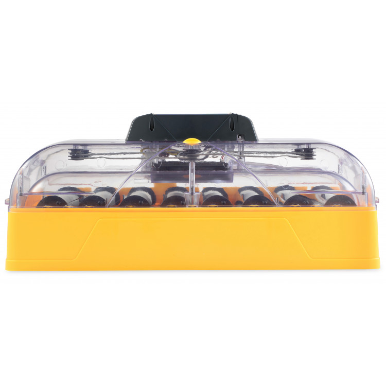 c186f2e58484a657eb8a37e3886e731d