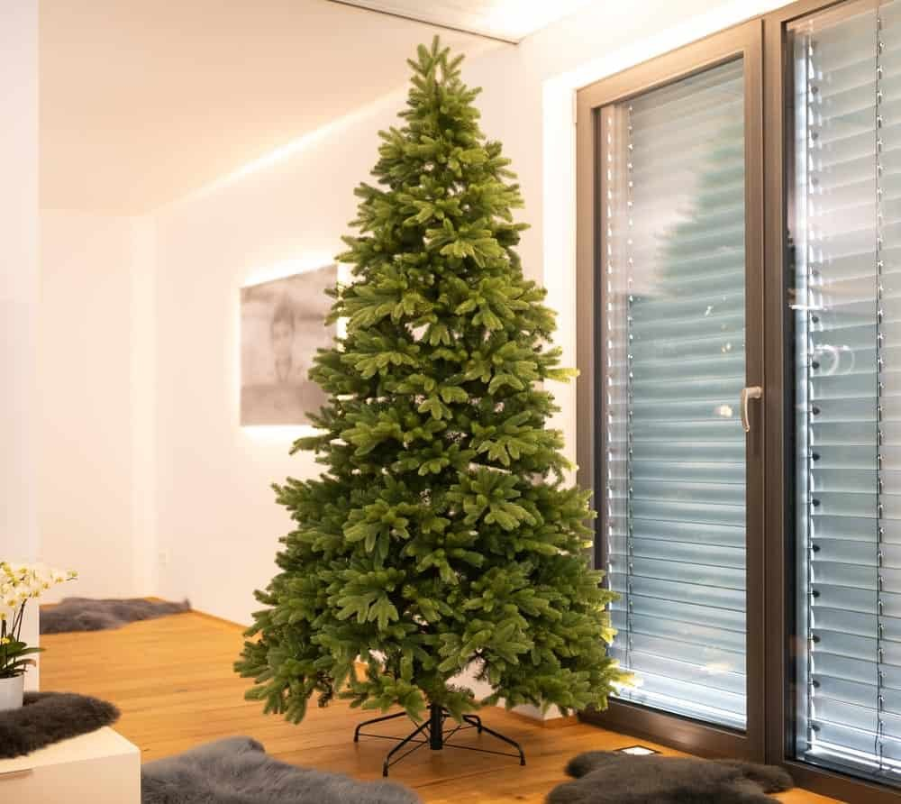 c22eb9c7c35a87c646d55b0344f3a525