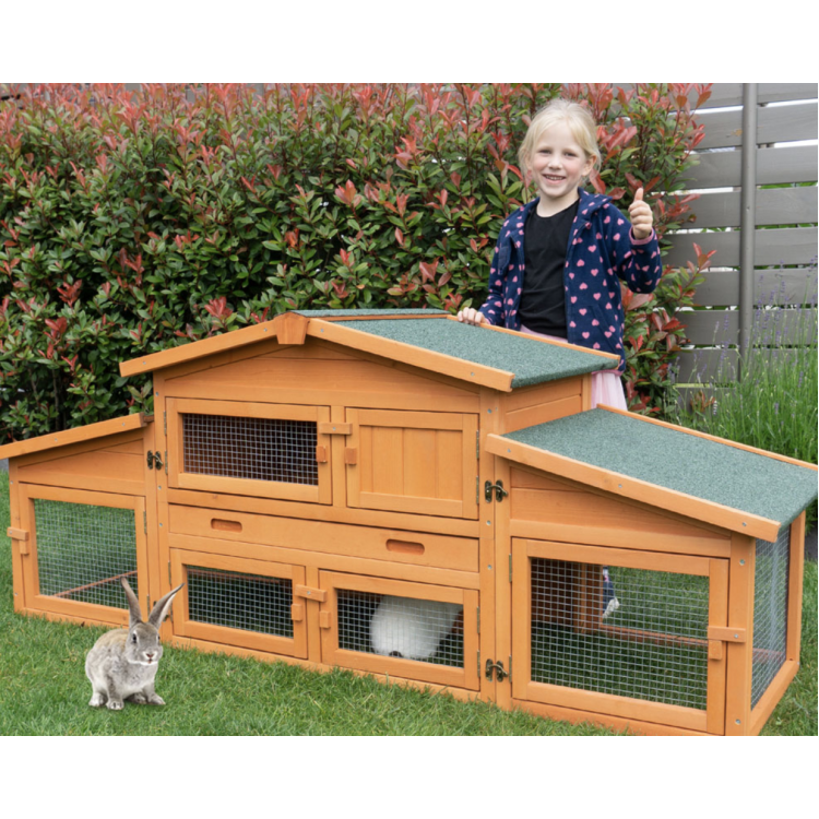 c3ce41769e66a8528aabb3a14164a446