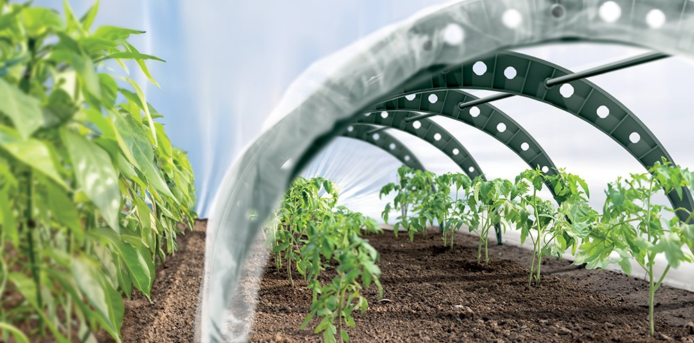 c406f98d1954836106f0fc61e819e528.img