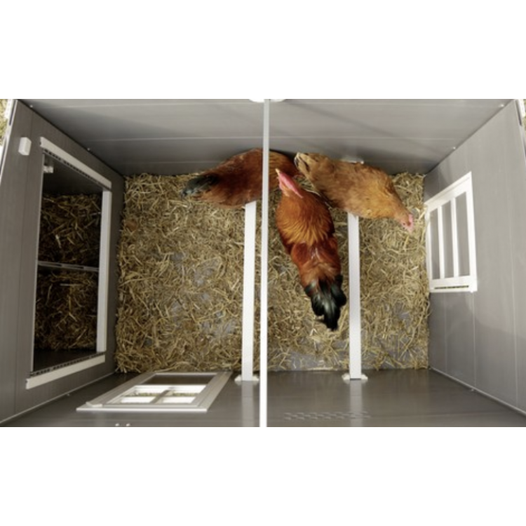 c502bf47a7082d18acc7a50fdef050e7