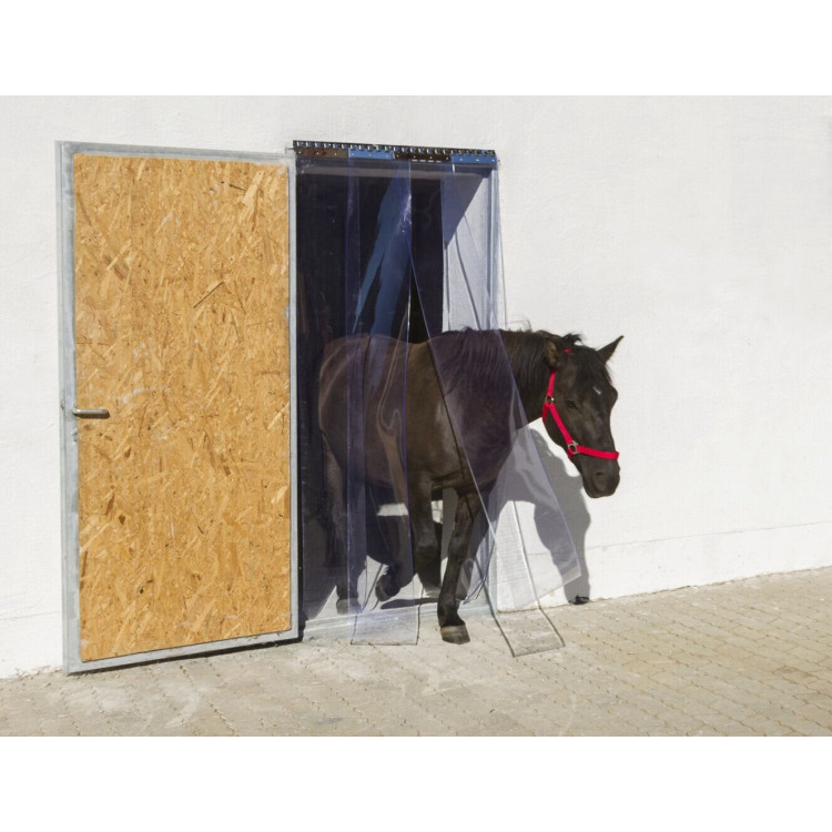 c56cc9a8d71b997162cab7e7b77e6756