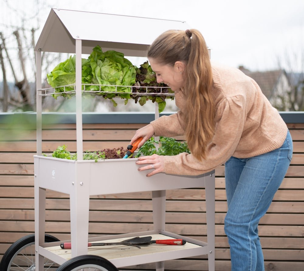 c68161cece0a488573eb9e61f4f0de85