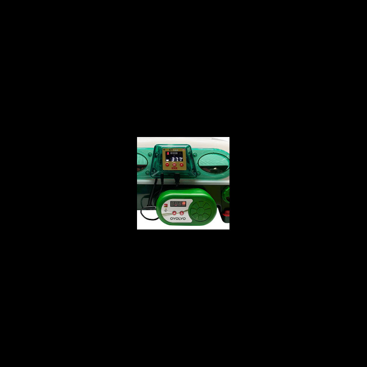 c6dc7b034de0b9ca81f0482d44997ae5