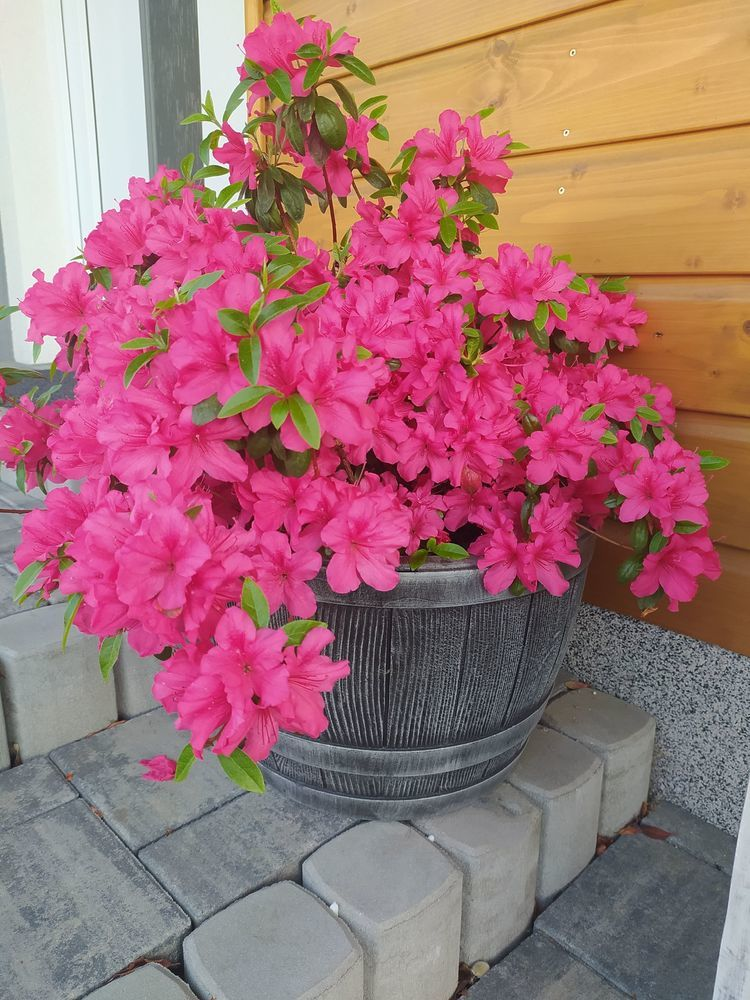 c6f58e98368c756d141cd1a27924e5e0