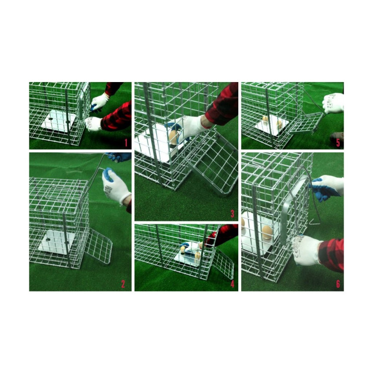 c7223852c1220b84ae8094a9bcbfb464