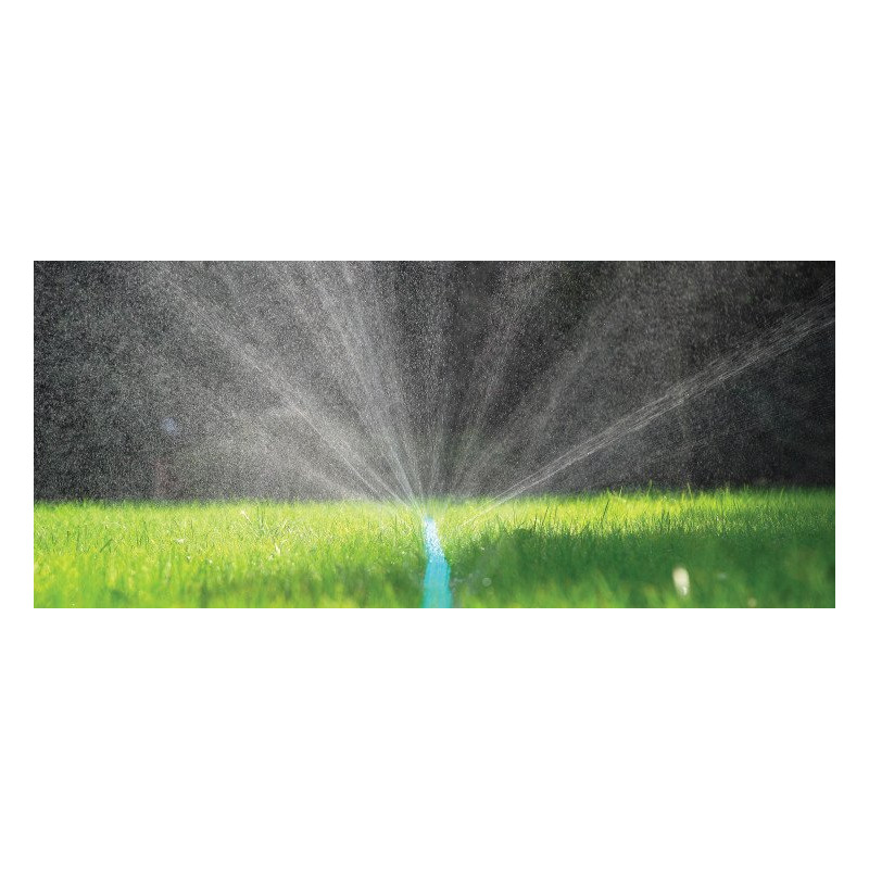 c91139132515d66bcd652ab5fc9e00ec