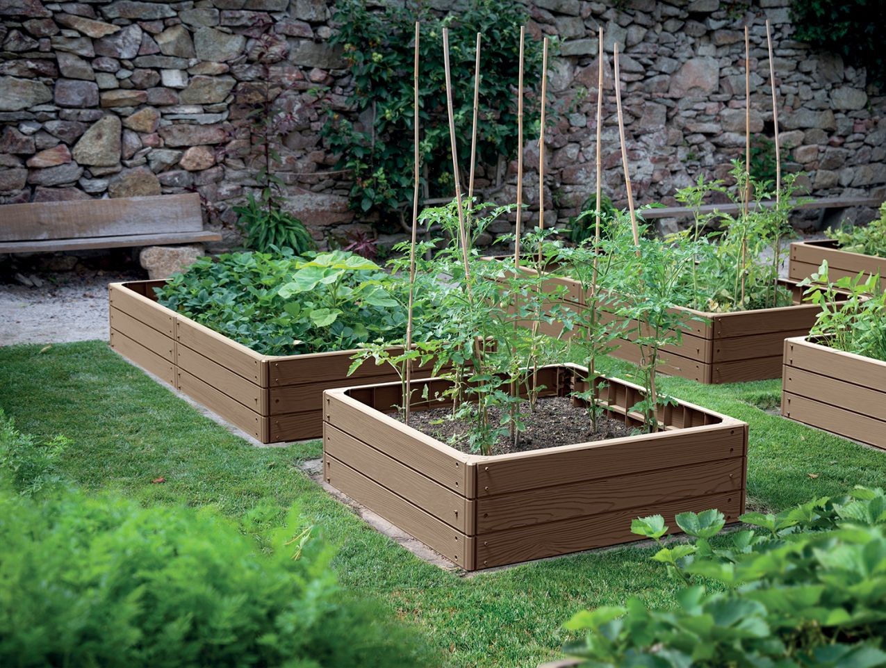 cb0278ede3ee3fba09724fdba7984bc3.img