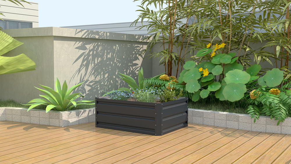 cb9cf1db2374ebb01fd38fa5a5433a81