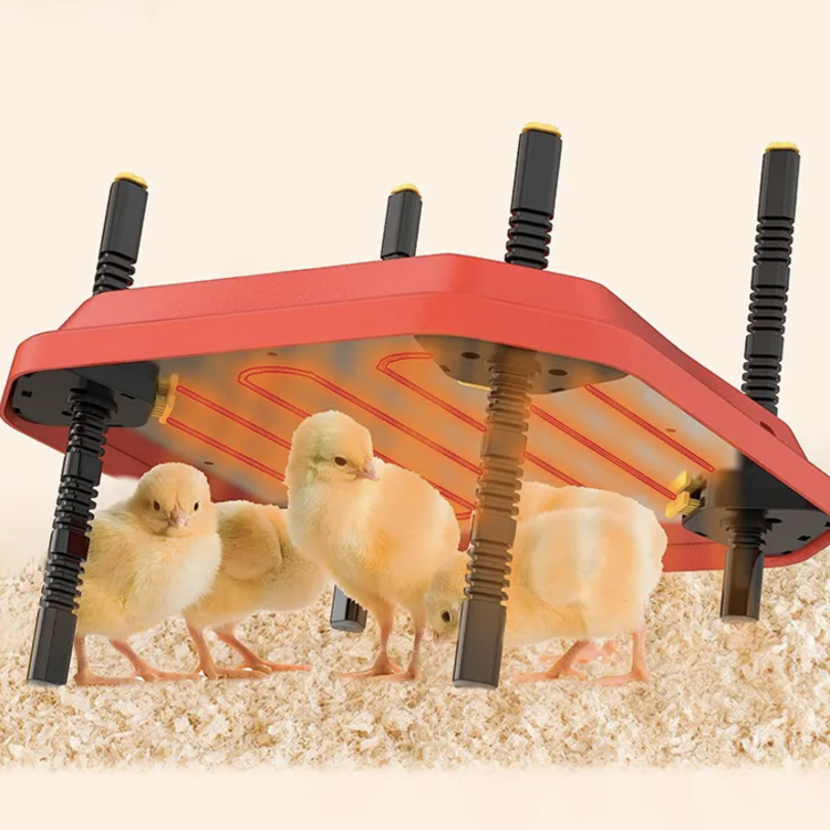 cc4296ccd481fe3f2de722fc359bdb55