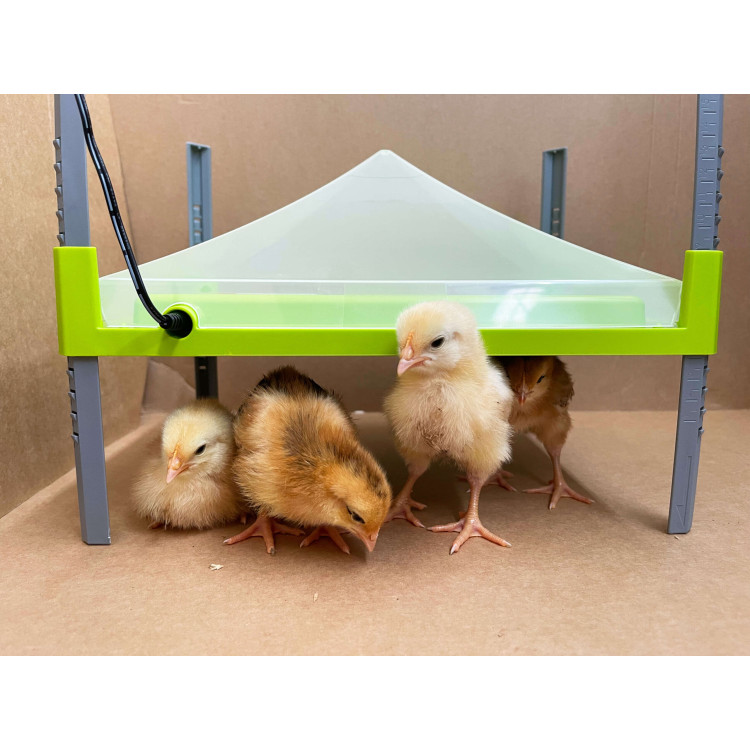 cc8cb501a8bcdafba9a5c867b075ba17