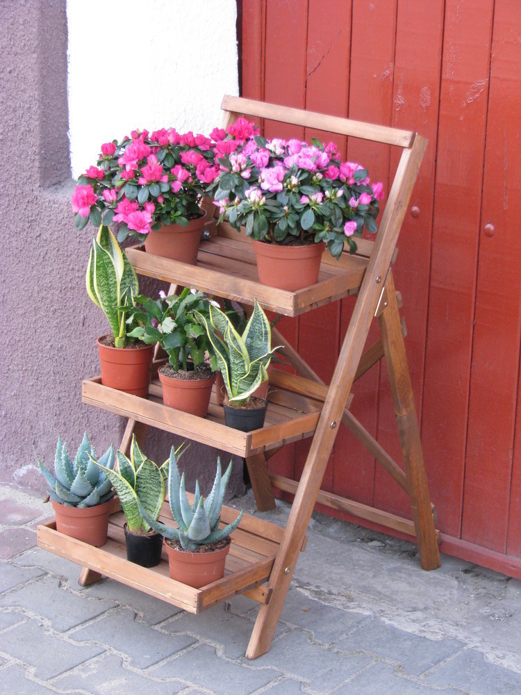 ccb9d4891d84bc7e2c6c1796a1ae21ca