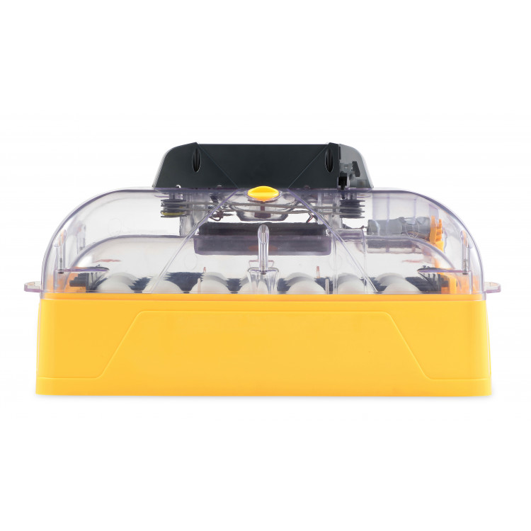 d0153c8446e7fb703a4dd6d563968220