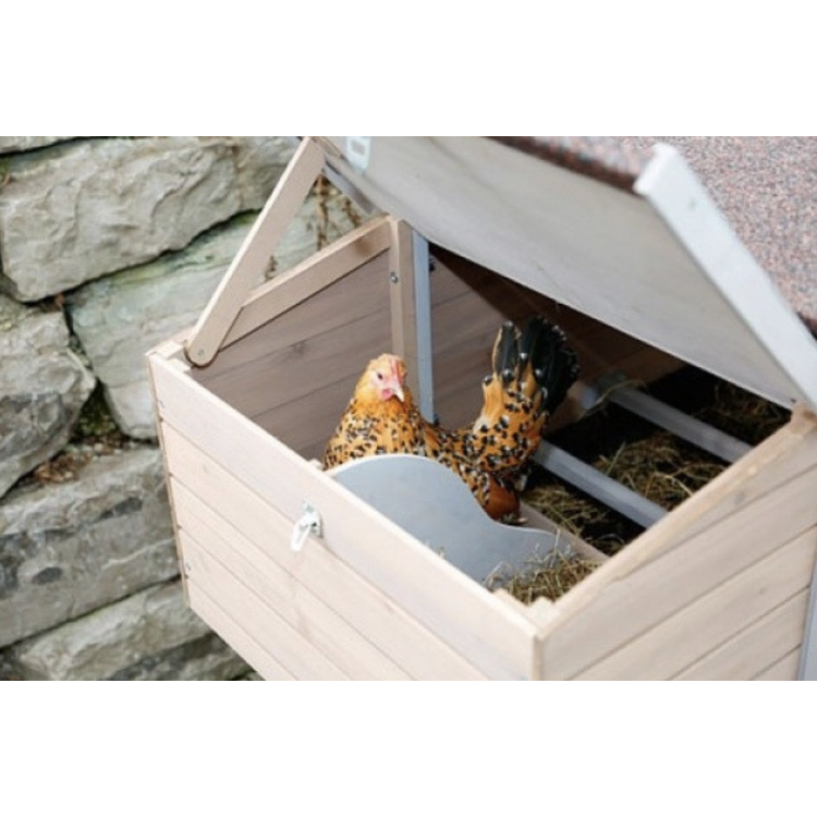 d187d5c456bb069b15f0f038e307a169