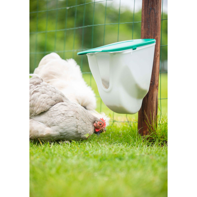 d436752f91caa49a74f9076ddce34802