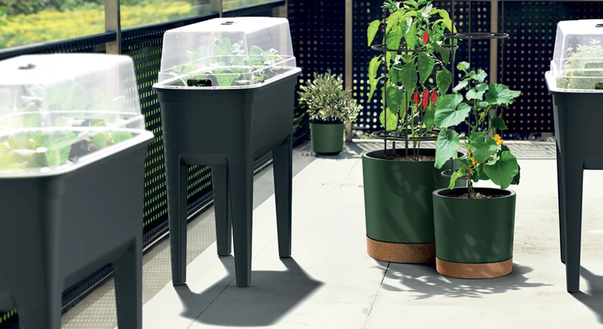 d45912a8ab265214872e7b2863e8156f