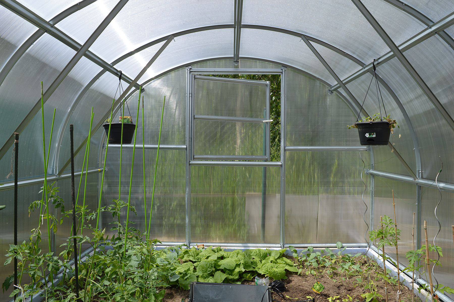 d4fe3218b978f76792da5a9e999bb7c1