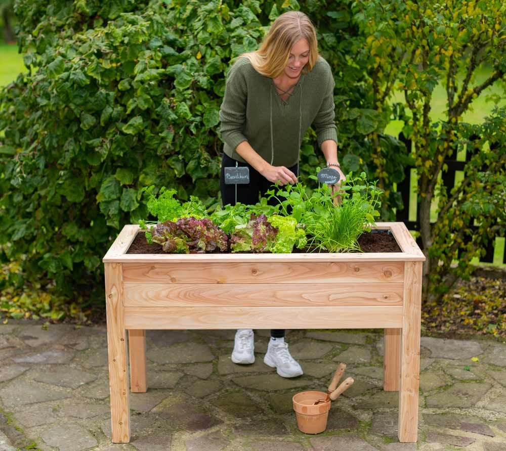 d54ba07e97e4eb0a132a5d0ea93245f0