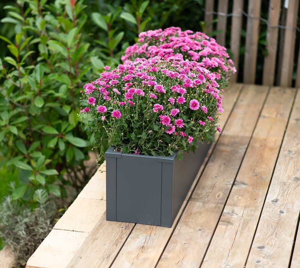 d5e6b47a49548ee92b9b7f58e6d58f67