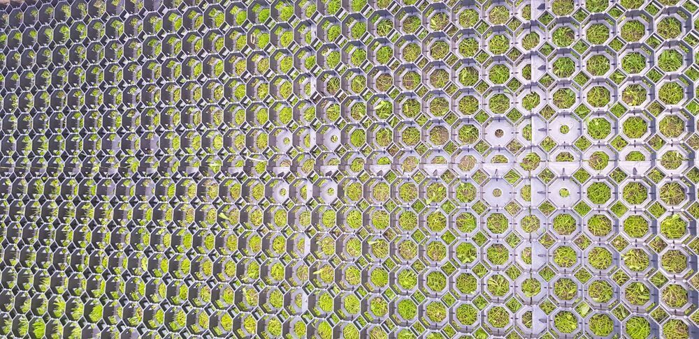 d76f488aac29ab6f90c748e976daf14f