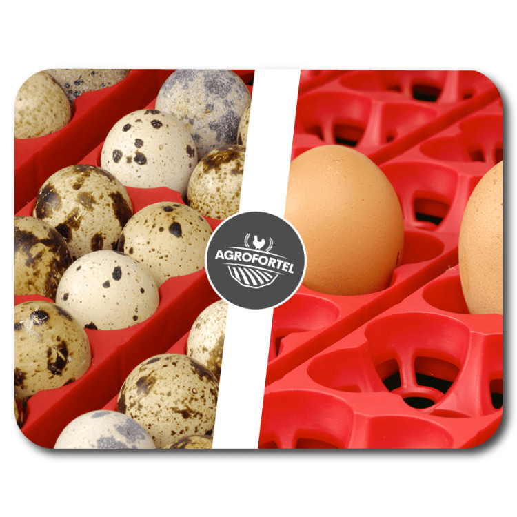 d7f876df5c09067dc6d1cc5a33700e4a