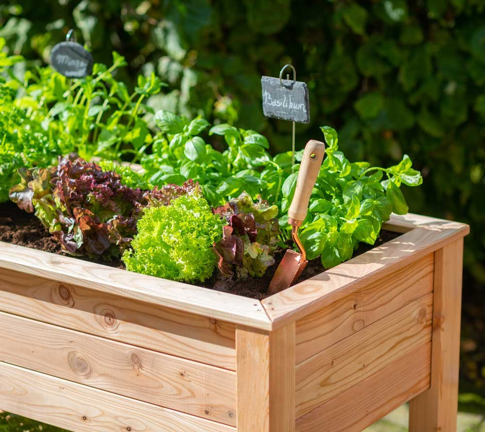 daf4f4bd2b21ad8ca27d586c972d8469