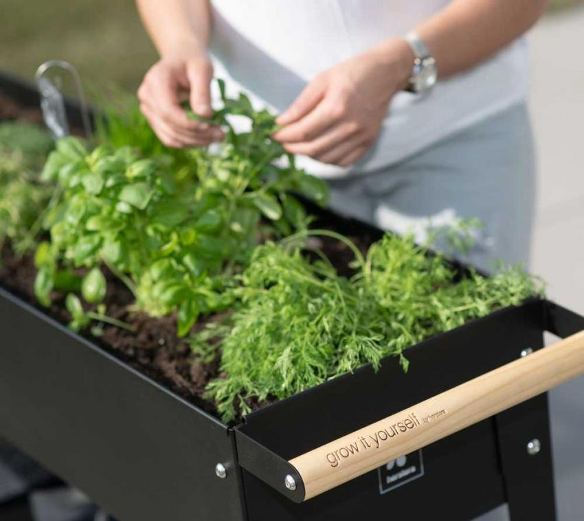 daf6b6ec1b927a09a87b947edff4d252