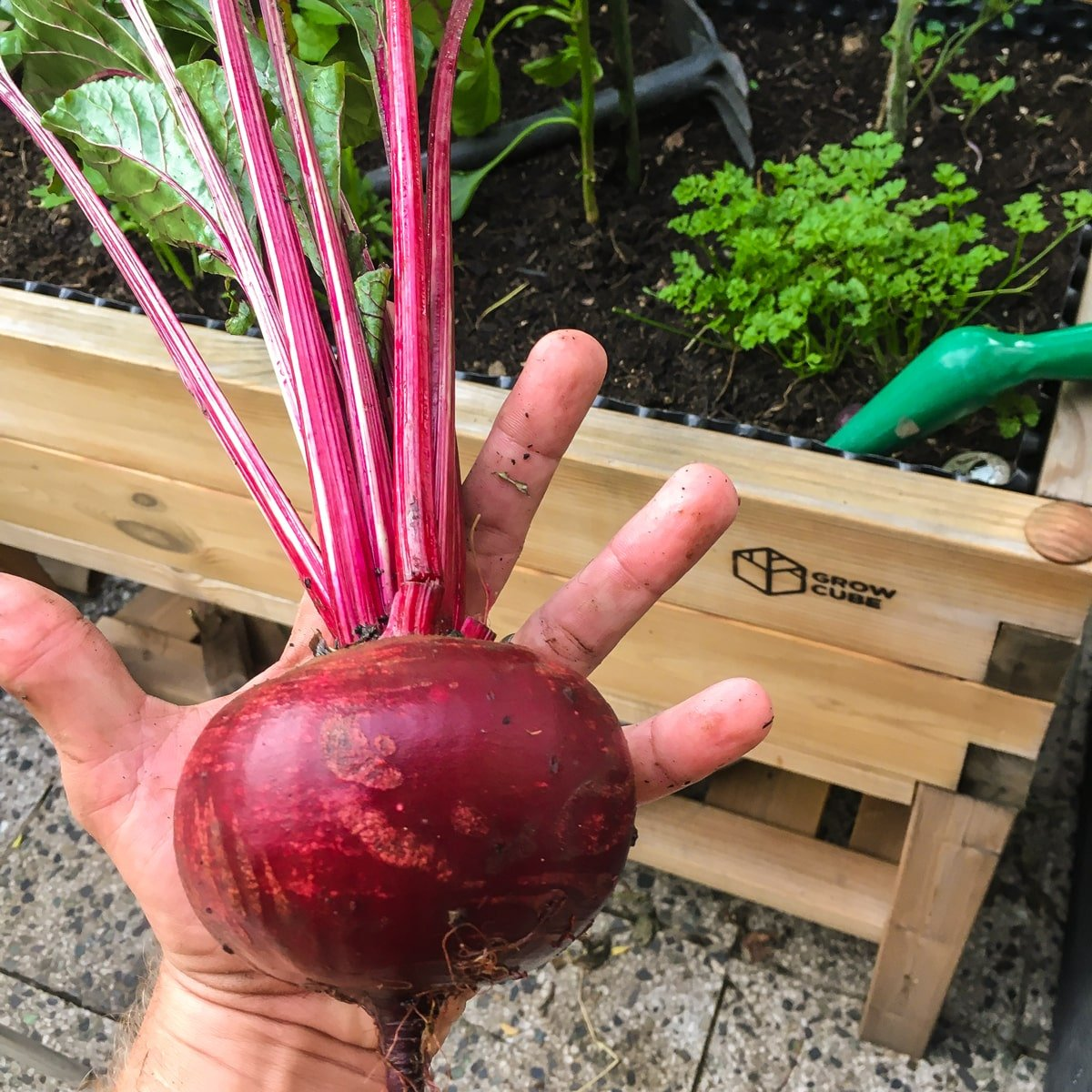 dd8fbf0cadbf31c800668b5e7ae50240