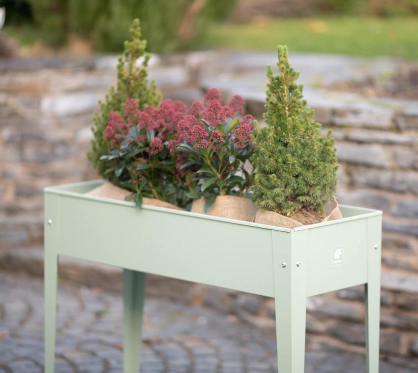 dda9c1c79be7fafaaaa7a5d6836ccc1d