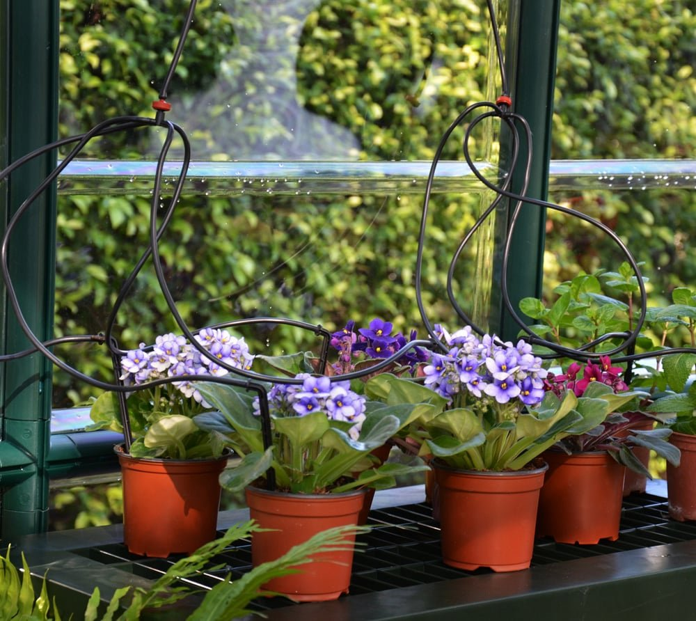 dde46bc471439177551e0108f16c2d05