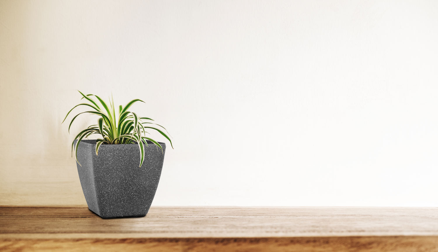 de12c7e76172e446a9d006efe95fe050.img