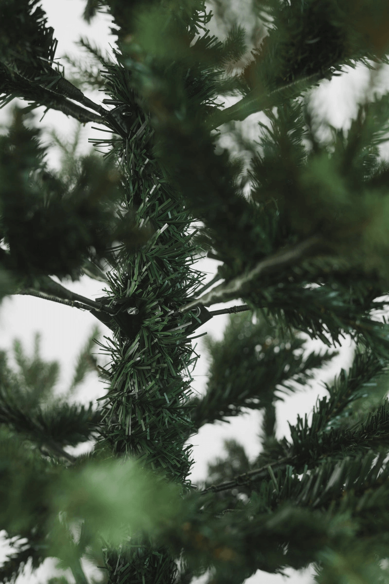 debda9f96be46fd2f6e797b7d65ccc9d