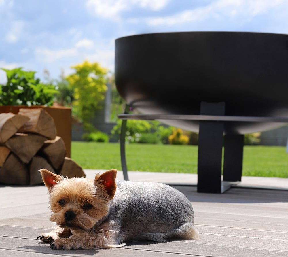 dfa972560fcc54e2c7936a4b60313234