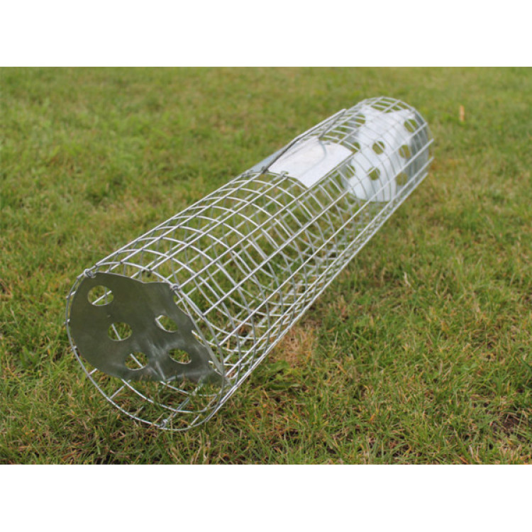 dffa6bf00e9b43090350e98dbf3ee395