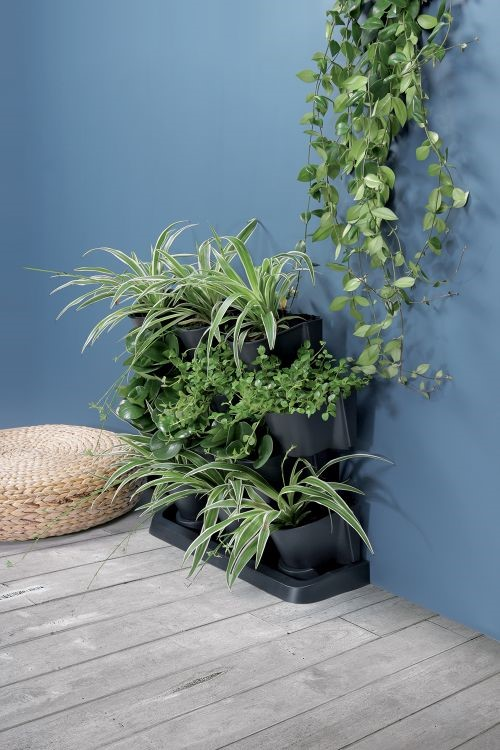 e25e1bb65b728946ca2018161ac080fa