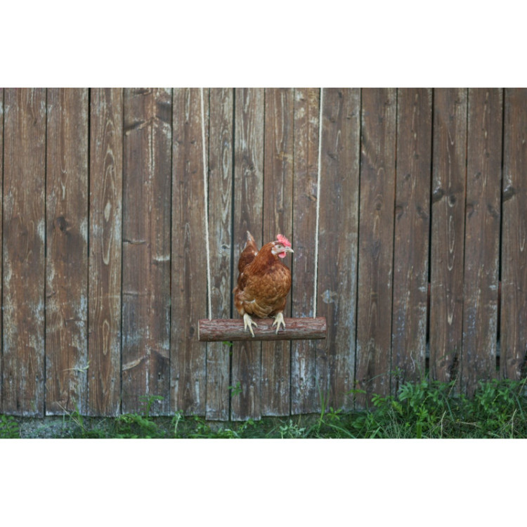 e28d2d168d624f6d5893c0bfeee61938