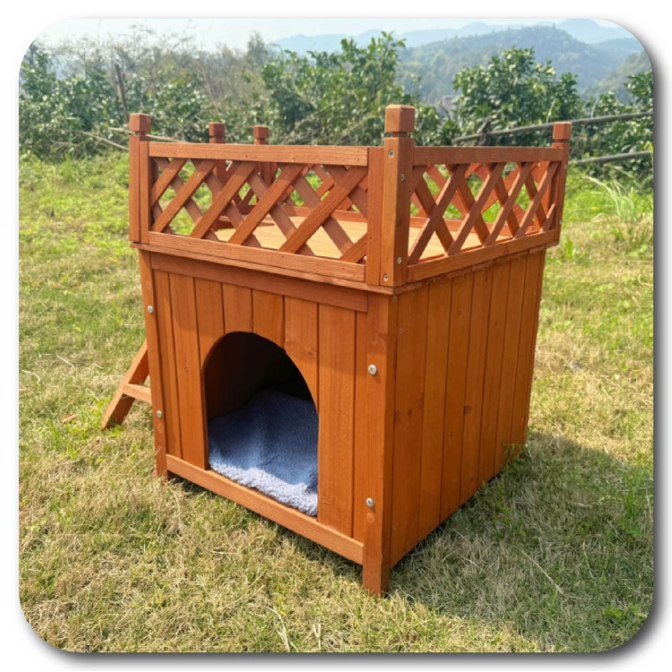 e34f624f86b96640a25353dc56b4fa84