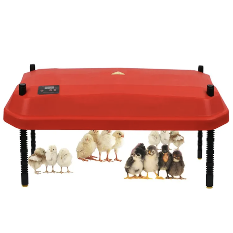 e755725a0003637e6323033706496e76