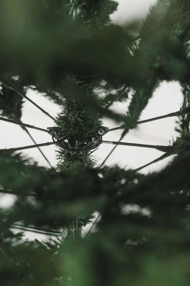 e83d1eee7e8b91746a0908e4b88cce98