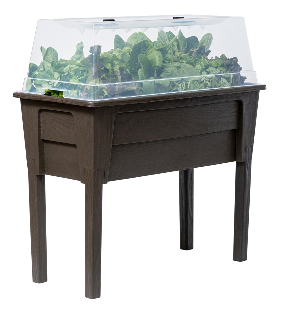 e888e121f5d25f056d3f119875dd98ce