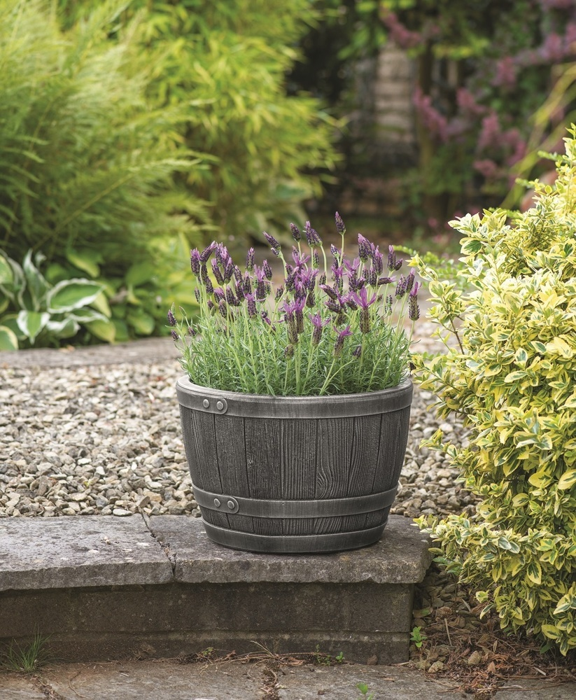 ee9abffda8355a96ac201b2e7cd41bc1