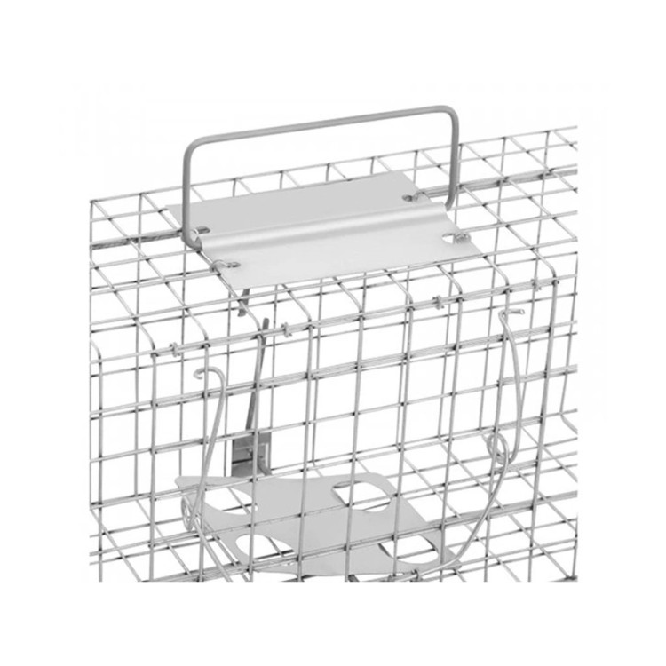 eea0085221acc676a5e897e04e117732