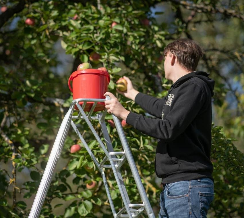 efd3ac6826e73928a1204014f6c088d9