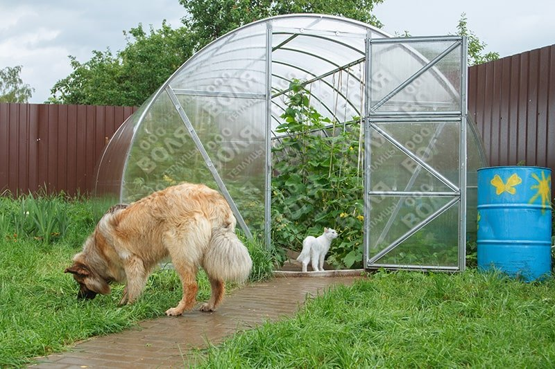 f02e89bbd52f3d034f8b27575d1bfee0