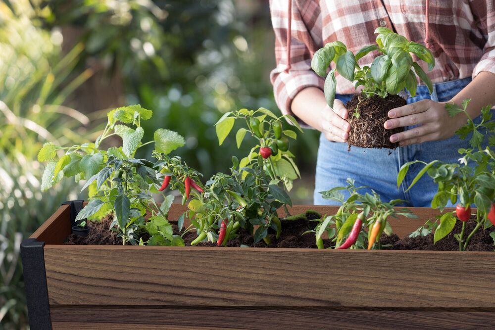 f0a44c006c35c32ec5926d90d2558cd6